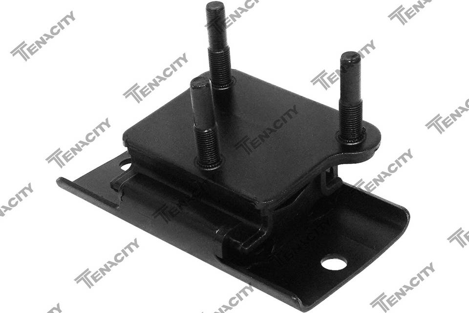Опора двигателя Tenacity (3740) AWSNI1254