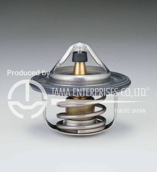 Термостат TAMA 3256  W52NA-95 с прокладкой