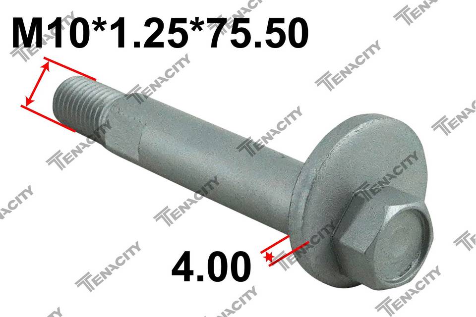 Болт-эксцентрик Tenacity (4425) CSC0202