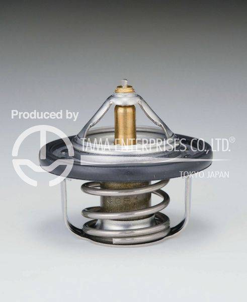 Термостат TAMA 2198  W52SR-88 с прокладкой