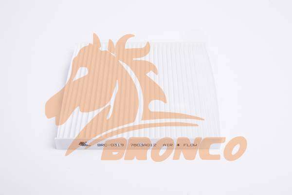 Фильтр салонный BRONCO  BRC-0319  (AC-304E)